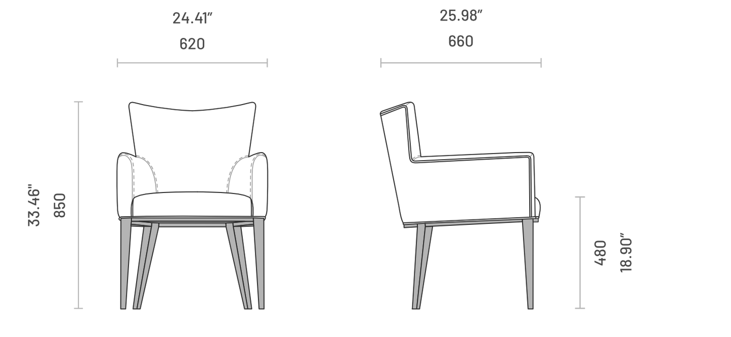 Vianna Chair With Armrests